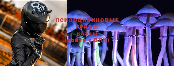 СК Бронницы