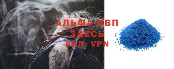 СК Бронницы